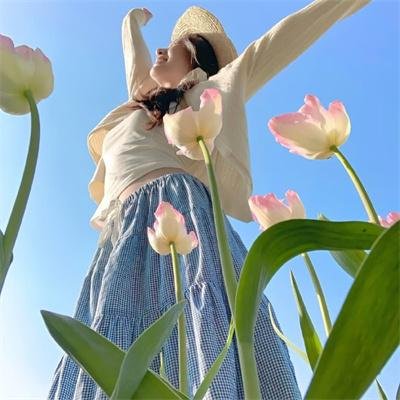 迪克·特蕾西